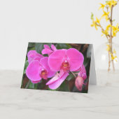 Orchid, Karte (Gelbe Blume)