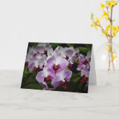 Orchid, Karte (Gelbe Blume)