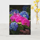 Orchid, Karte (Gelbe Blume)