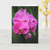 Orchid, Karte (Gelbe Blume)