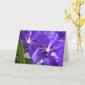 Orchid, Karte (Gelbe Blume)