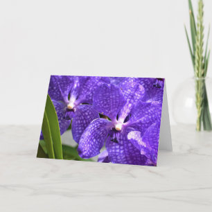 Orchid, Karte