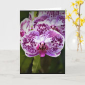 Orchid, Karte (Gelbe Blume)