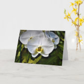 Orchid, Karte (Gelbe Blume)