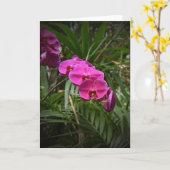 Orchid, Karte (Gelbe Blume)