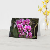 Orchid, Karte (Gelbe Blume)