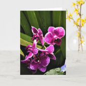 Orchid, Karte (Gelbe Blume)