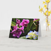 Orchid, Karte (Gelbe Blume)