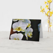 Orchid, Karte (Gelbe Blume)