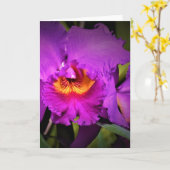 Orchid, Karte (Gelbe Blume)