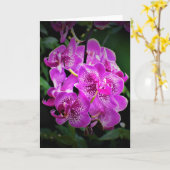 Orchid, Karte (Gelbe Blume)