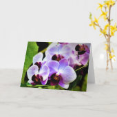 Orchid, Karte (Gelbe Blume)