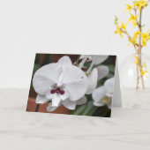 Orchid, Karte (Gelbe Blume)
