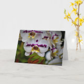 Orchid, Karte (Gelbe Blume)