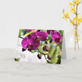 Orchid, Karte (Gelbe Blume)