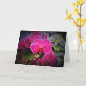 Orchid, Karte (Gelbe Blume)