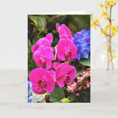 Orchid, Karte (Gelbe Blume)