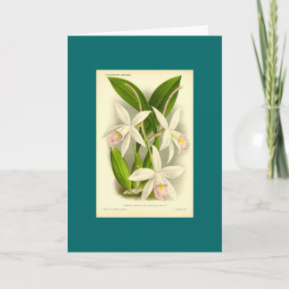 Orchid - Laelia Anceps Karte