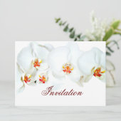 Orchid-Liebe_ Einladung (Stehend Vorderseite)