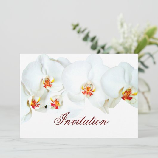 Orchid-Liebe_ Einladung (Stehend Vorderseite)