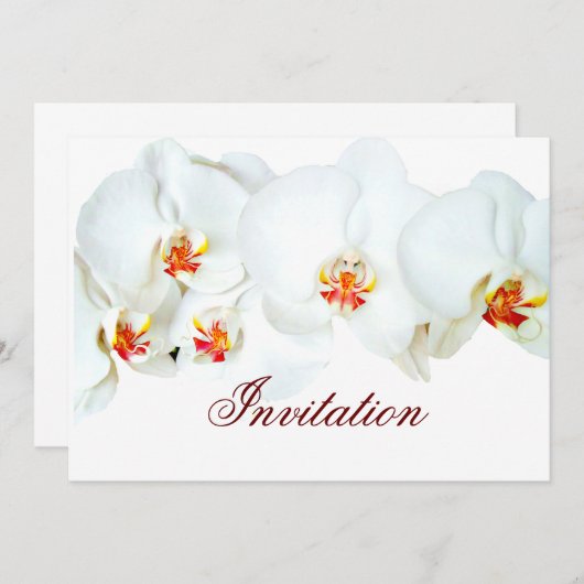 Orchid-Liebe_ Einladung (Vorne/Hinten)