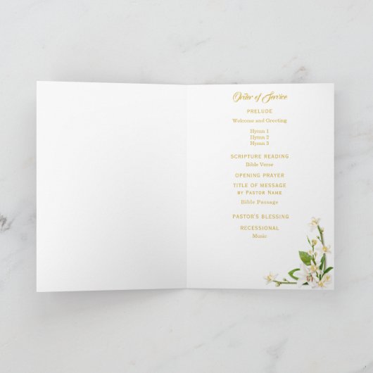 Orchid Lily Cross Oaster Programm (Innenseite)