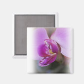 Orchid Magnet (Vorderseite/Rückseite)