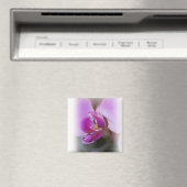 Orchid Magnet (In Situ (Geschirrspüler))