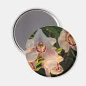 Orchid Magnet (Vorderseite/Rückseite)