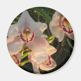 Orchid Magnet