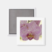 Orchid Magnet (Vorderseite/Rückseite)