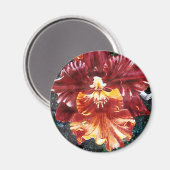 Orchid Magnet (Vorderseite/Rückseite)