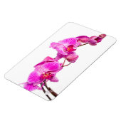 Orchid Magnet (Linke Seite)