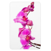 Orchid Magnet (Vertikal)