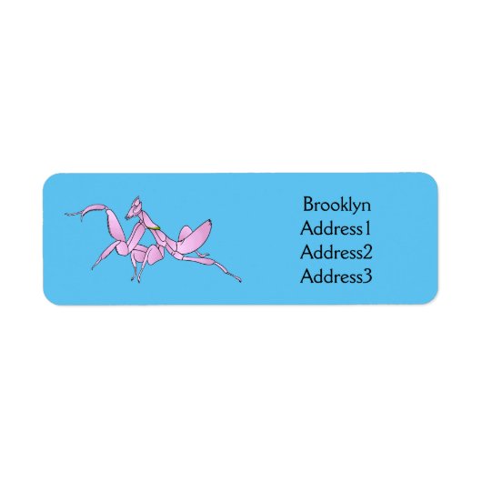 Orchid mantis Cartoon Illustration (Vorne)
