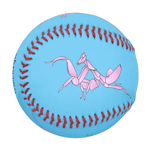 Orchid mantis Cartoon Illustration Baseball (Vorderseite Links)