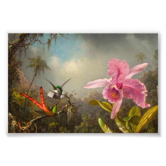 Orchid mit zwei Hummingbirds Heade Fotodruck (Vorne)