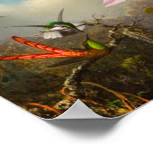 Orchid mit zwei Hummingbirds Heade Poster (Ecke)