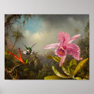 Orchid mit zwei Hummingbirds Heade Poster