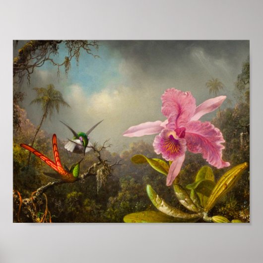 Orchid mit zwei Hummingbirds Heade Poster (Vorne)