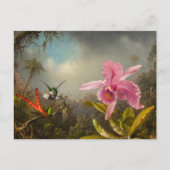 Orchid mit zwei Hummingbirds Heade Postkarte (Vorderseite)