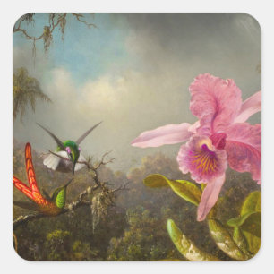 Orchid mit zwei Hummingbirds Heade Quadratischer Aufkleber