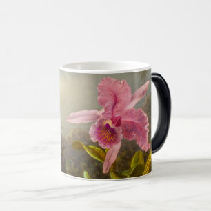 Orchid mit zwei Hummingbirds Heade Verwandlungstasse