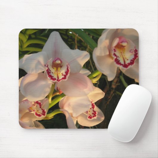 Orchid Mousepad (Mit Mouse)
