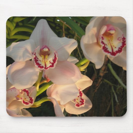 Orchid Mousepad (Vorne)