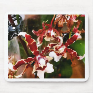 Orchid Mousepad
