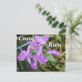 Orchid — Nationale Blume Costa Ricas Postkarte (Stehend Vorderseite)