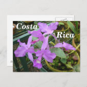 Orchid — Nationale Blume Costa Ricas Postkarte (Vorne/Hinten)