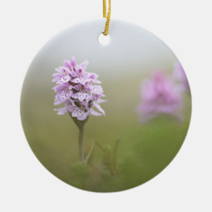 Orchid Nature Foto Keramik Ornament