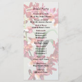 Orchid Oncostele Hilo Firecracker Neujahrsprogramm Programm (Rückseite)